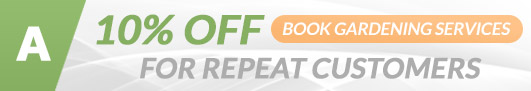  London returned customers gardening service offer