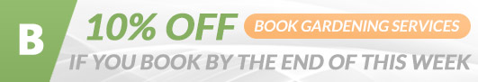  London customers gardening removal service offer book by the end of the week
